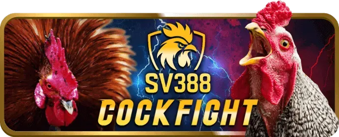 Giấy phép hoạt động và bảo mật của 89 bet